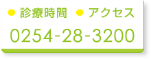 診療時間・アクセス・電話番号0254-28-3200